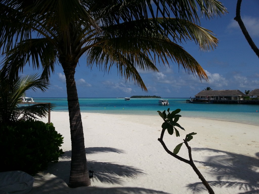 Maldives scene